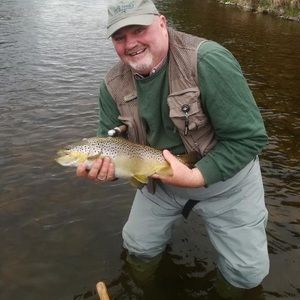 Meet your Posher, Steve